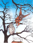 The Owl and the&nbsp;Orangutan