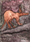The Aardvark