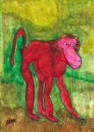 The Baboon