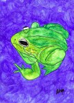 The Frog