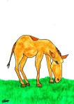 The Horse