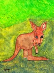 The Kangaroo