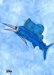 The Sailfish