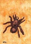 The Tarantula