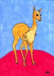 The Vicuna