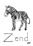 The Zebra