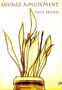 Savage Amusement Cover