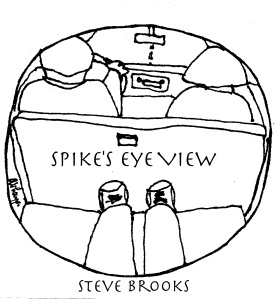 Spike's Eye View Cover